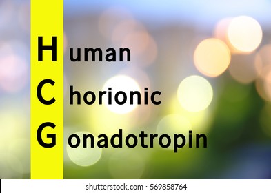 Acronym HCG As Human Chorionic Gonadotropin