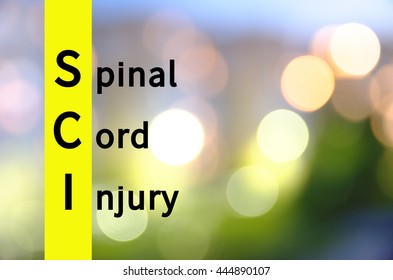 Acronym SPI As Spinal Cord Injury