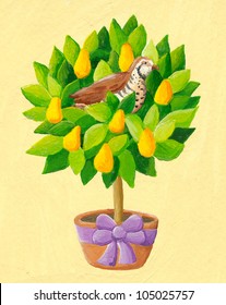 Acrylic Illustration Of The 12 Days Of Christmas -  Partridge In A Pear Tree