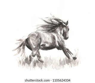7,144 Horse pencil Images, Stock Photos & Vectors | Shutterstock