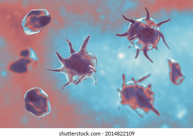 Activated and non-activated platelets, thrombocytes, 3D illustration. Activated thrombocytes have cell membrane projections on the surface, unactivated platelets are biconvex discoid, or lens-shaped
