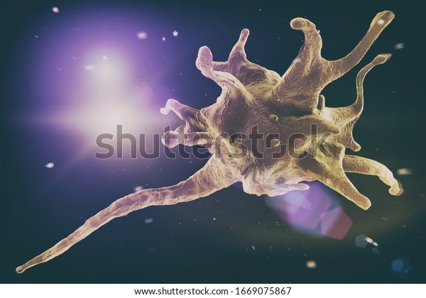 Activatet Platelet Cell Thrombocyte Component Blood Stock Illustration 
