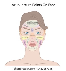 1,009 Acupuncture Points Face Images, Stock Photos & Vectors | Shutterstock