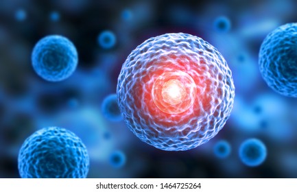 Active Cell Nucleus - 3D Illustration