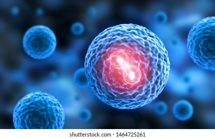 Active Cell Nucleus Reproduction - 3D Illustration