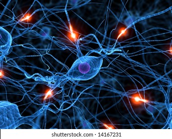 Active Nerve Cell