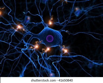 Active Nerve Cell