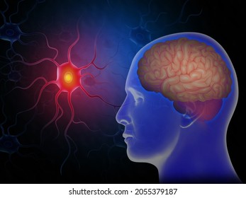 Active Nerve Cell With Brain  3d