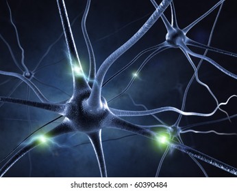 Active Nerve Cell In Human Neural System