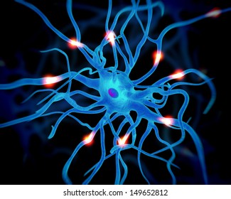 Active Nerve Cell Or Neurons