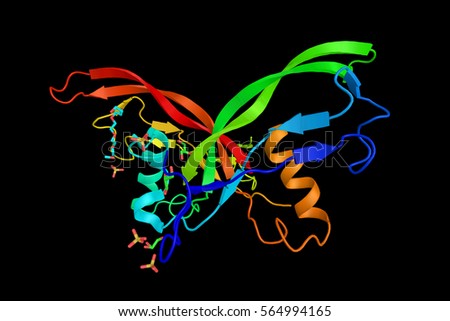 Activin, a protein which enhances FSH biosynthesis and secretion, and participates in the regulation of the menstrual cycle. 3d rendering. Stock photo © 