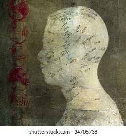 Acupuncture Head. Photo Based Illustration.