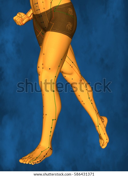 Acupuncture Model 3d Illustration Stock Illustration 586431371