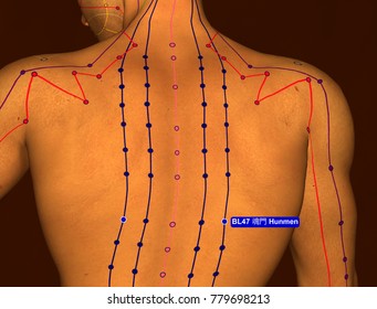Acupuncture Point BL47 Hunmen, 3D Illustration, Brown Background