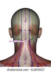 Acupuncture Point Gv14 Dazhui 3d Illustration Stock Illustration 512870497