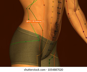 Acupuncture Point SP8 Diji, 3D Illustration, Brown Background : похожие изо...