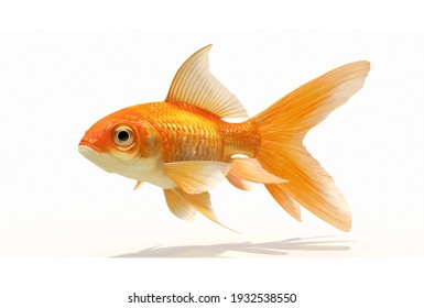 Acutrim Fish 3d Modelling Render Image