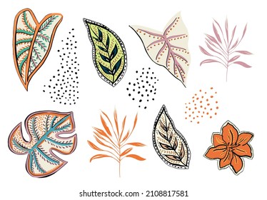 adam's rib tropical abstract leaves and flowers watercolor flower digital illustration leaf farm