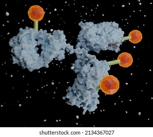 ADCs Are Complex Molecules Composed Of An Antibody Linked To A Biologically Active Cytotoxic Or Anticancer Payload Or Drug. Examples Of Bioconjugates And Immunoconjugate. 3d Rendering