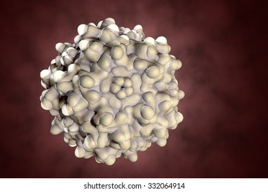 Adeno-associated Virus Serotype 1. Virus Is Used As A Vector For Gene Therapy