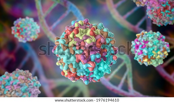Adeno-associated viruses, 3D illustration. The\
smallest known viruses to infect humans, belong to the family\
Parvoviridae, are used for gene therapy, and for creation of\
isogenic human disease\
models