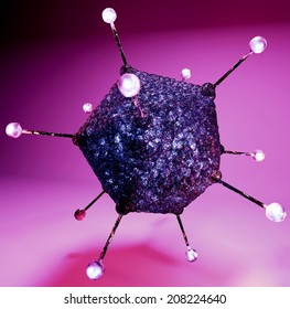 Adenoviruses,  Family Adenoviridae. Their Name Derives From Their Initial Isolation From Human Adenoids.