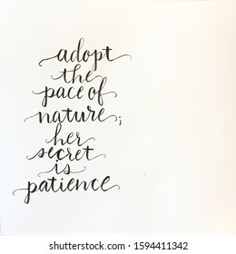 Adopt The Pace Of Nature; Her Secret Is Patience