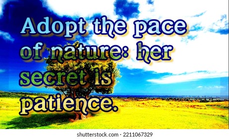 Adopt The Pace Of Nature; Her Secret Is Patience. An Informative And Advisable Quote Card With A Natural Scene Background Image. 