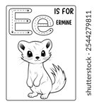  An adorable coloring page featuring the letter E with a cute weasel for children to color in, suitable as part of their learning about letters and animals