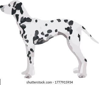 Adorable Dalmatian Black Spots Stock Illustration 1777915934 | Shutterstock