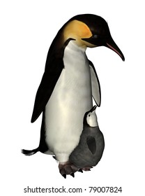 Adult Emperor Penguin Holding A Chick On Its Feet, 3d Digitally Rendered Illustration