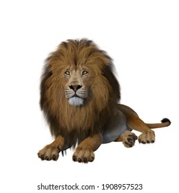 793,222 Lion Images, Stock Photos & Vectors | Shutterstock
