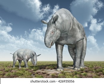 Adult Paraceratherium Baby Paraceratherium Computer Generated Stock ...