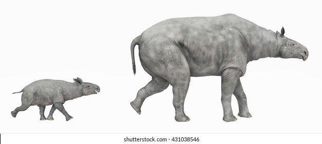 29 Baluchitherium Images, Stock Photos & Vectors | Shutterstock