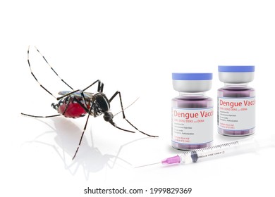 Aedes aegypti with vial DHF vaccine concept for vaccine anti mosquitoes cause born disease,3d rendering