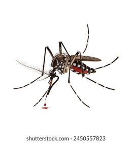 Aedes mosquitoes carry malaria and dengue fever