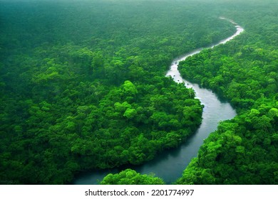 Aerial view of the Amazonas jungle landscape with river bend, 3d rendering - Powered by Shutterstock