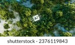 Aerial view of a forest with mist, centering on a glowing 