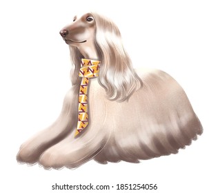 Afghan Hound. Dog With A Long Hair. Fashion Illustration Beautiful Dog.