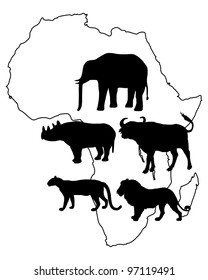 Africa Big Five