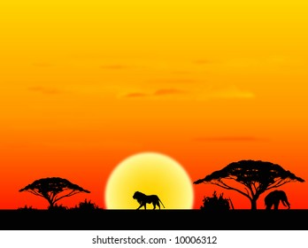 7 Acasia tree in savanna Images, Stock Photos & Vectors | Shutterstock