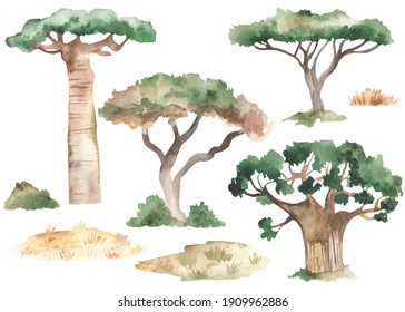 Africa trees acacias, baobabs, dry grass, bush. Watercolor set. Hand drawn illustartion.