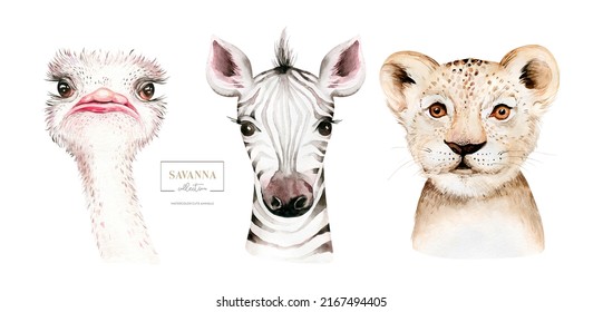 Africa Watercolor Savanna Zebra, Ostrich And Lion Animal. African Safari Cute Animals Portrait Character.Perfect For Wallpaper Print, Poster ,invitation, Wedding Design