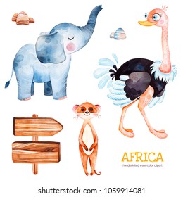 Africa watercolor set.Safari collection with ostrich,elephant,meercat,wooden sign,stones.Watercolor cute animals.Perfect for wallpaper,print,packaging,invitations,Baby shower,patterns,travel,logos etc