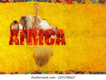 Africa Wild Life Continent Texture Background 