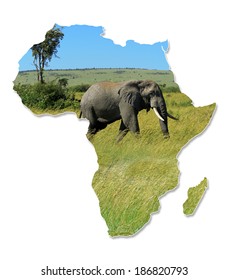 Africa Wildlife Map Design Isolated On Stock Illustration 186820793 ...