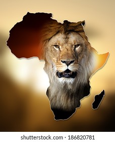 Low Poly Illustration African Lion Stock Vector (Royalty Free ...