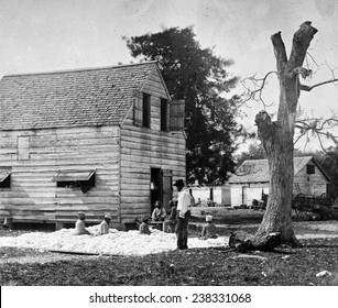 African Americans preparing cotton for the gin on Smith's plantation, Port Royal Island, S.C. Photograph by Timothy O'Sullivan ca. 1862