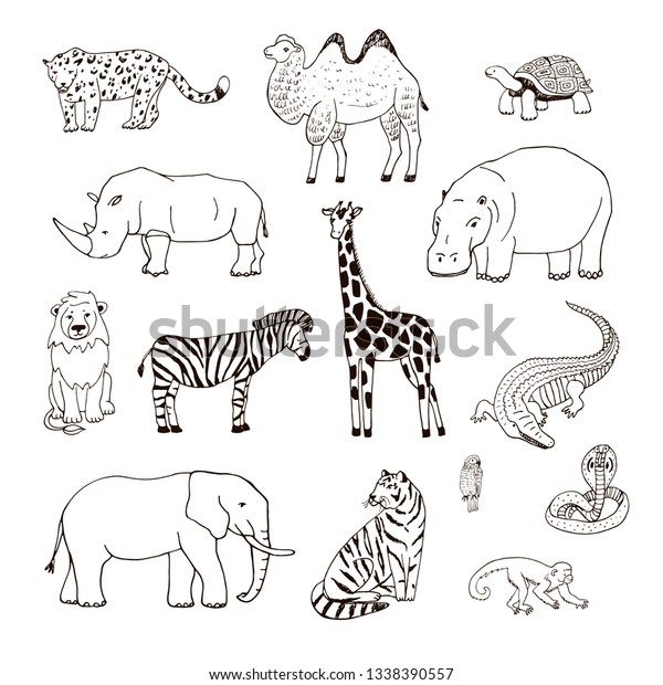 African Animals Line Illustrations Set Stock Illustration 1338390557 ...