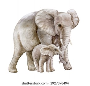 African elephant with a child. Mom and baby. Family isolated on white background. Watercolor. Illustration. Motherhood, childhood - Powered by Shutterstock